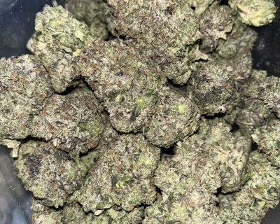 11 WEEK PINK (MEGA GAS DEAL) - Image 4